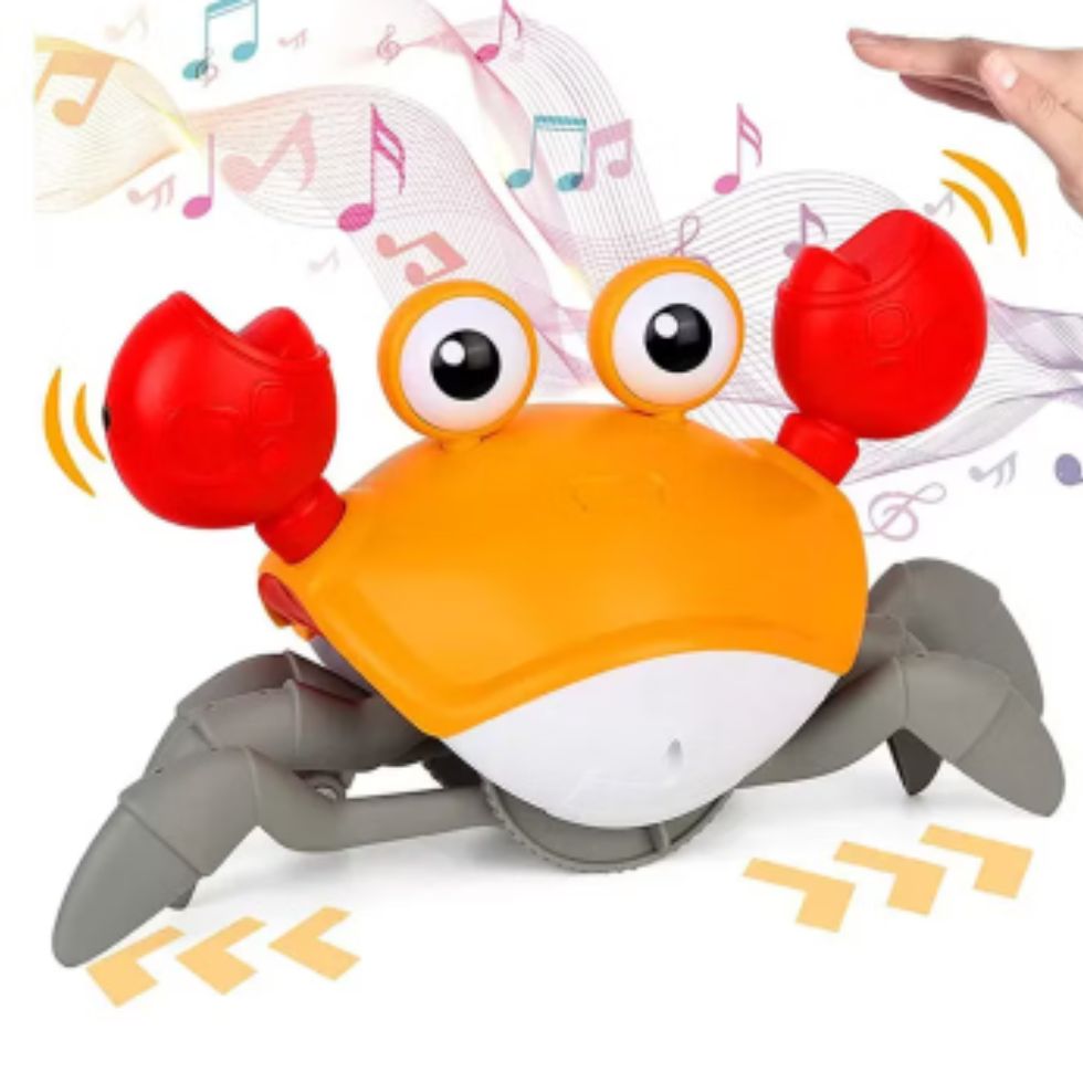 Cangrejo Caminador Montessori USB