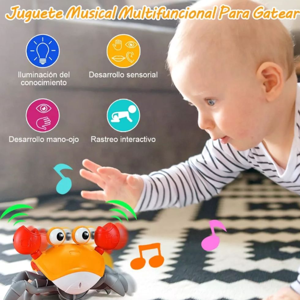 Cangrejo Caminador Montessori USB