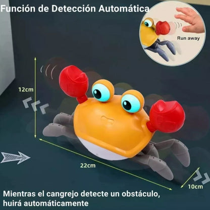 Cangrejo Caminador Montessori USB